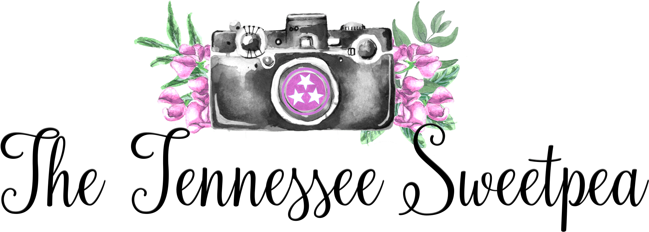 Volunteer Traditions Clipart (2189x826), Png Download