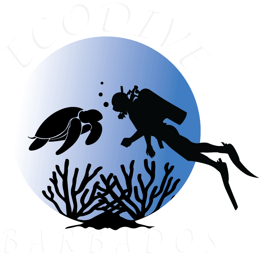 Home - Scuba Silhouette Turtle Clipart (904x874), Png Download