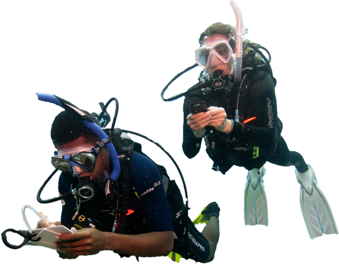 Diver Png - Water Diver Png Clipart (700x700), Png Download