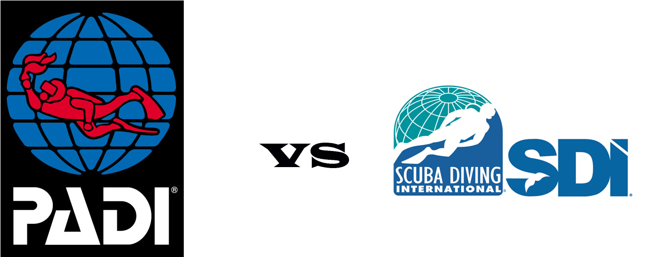 Padi Vs Sdi Scuba Diving International Clipart Large Size Png Image PikPng