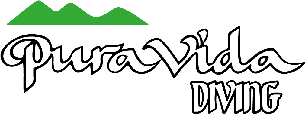 Eco Dive - Courses - Logo Pura Vida Diving Clipart (1182x591), Png Download