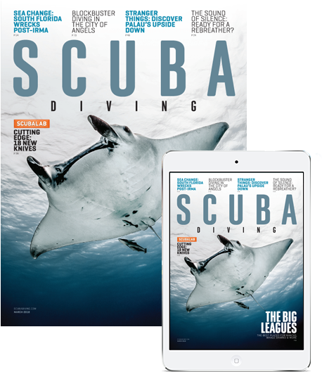 Subscribe To Scuba Diving - Great White Shark Clipart (600x593), Png Download