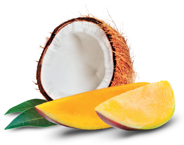 Coconut And Mango - Still Life Photography Clipart (866x650), Png Download