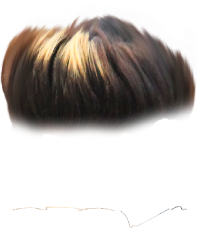 Hair Png ➤ Download - Insect Clipart (927x768), Png Download