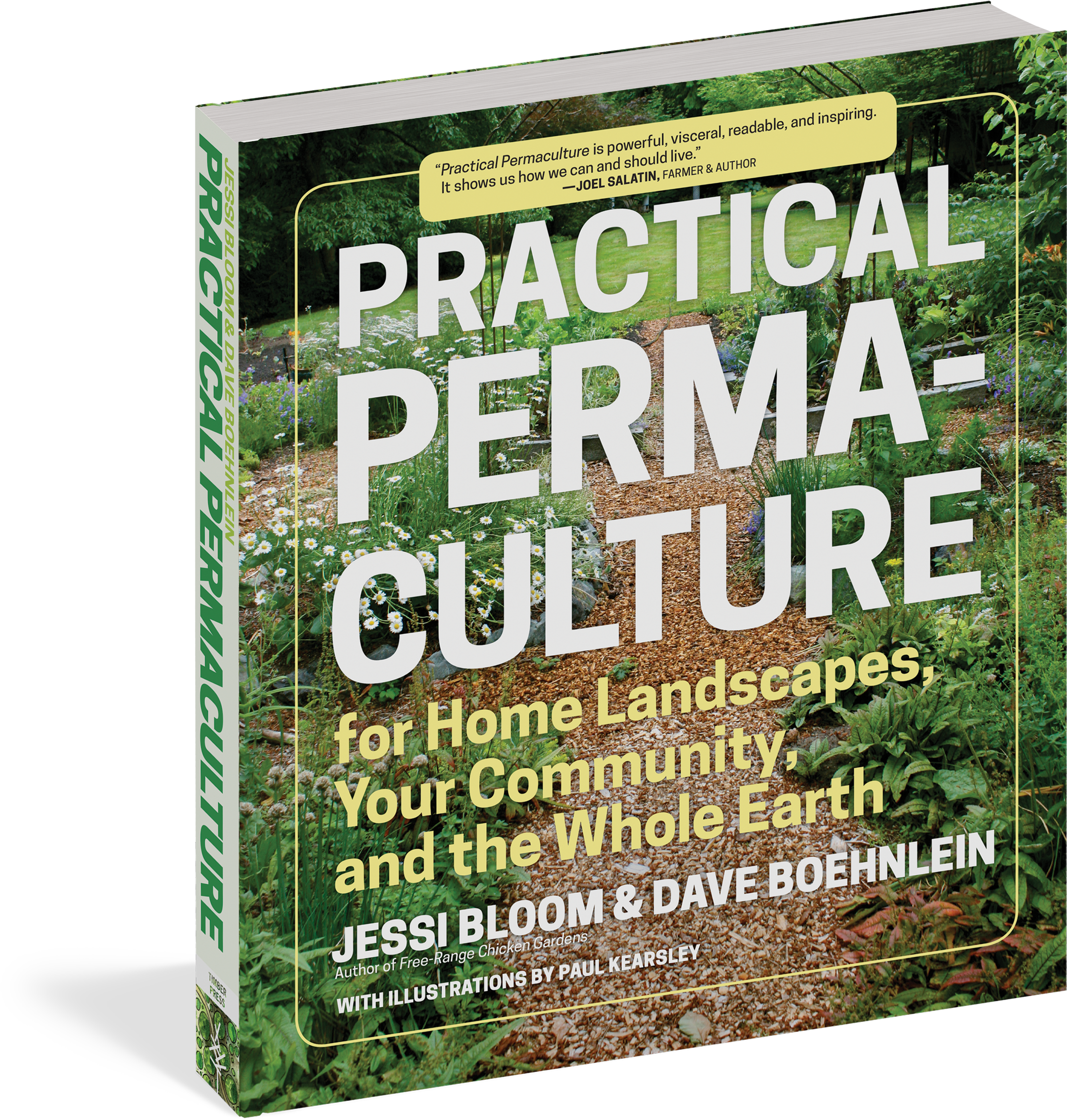 Grass Clipart (2291x2400), Png Download