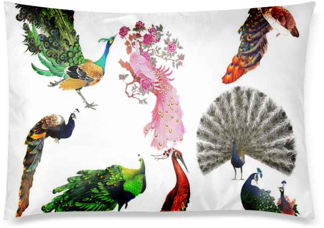 Peacock Clipart Custom Zippered Pillow Cases 20"x30" - Peacock Clipart - Png Download (799x799), Png Download