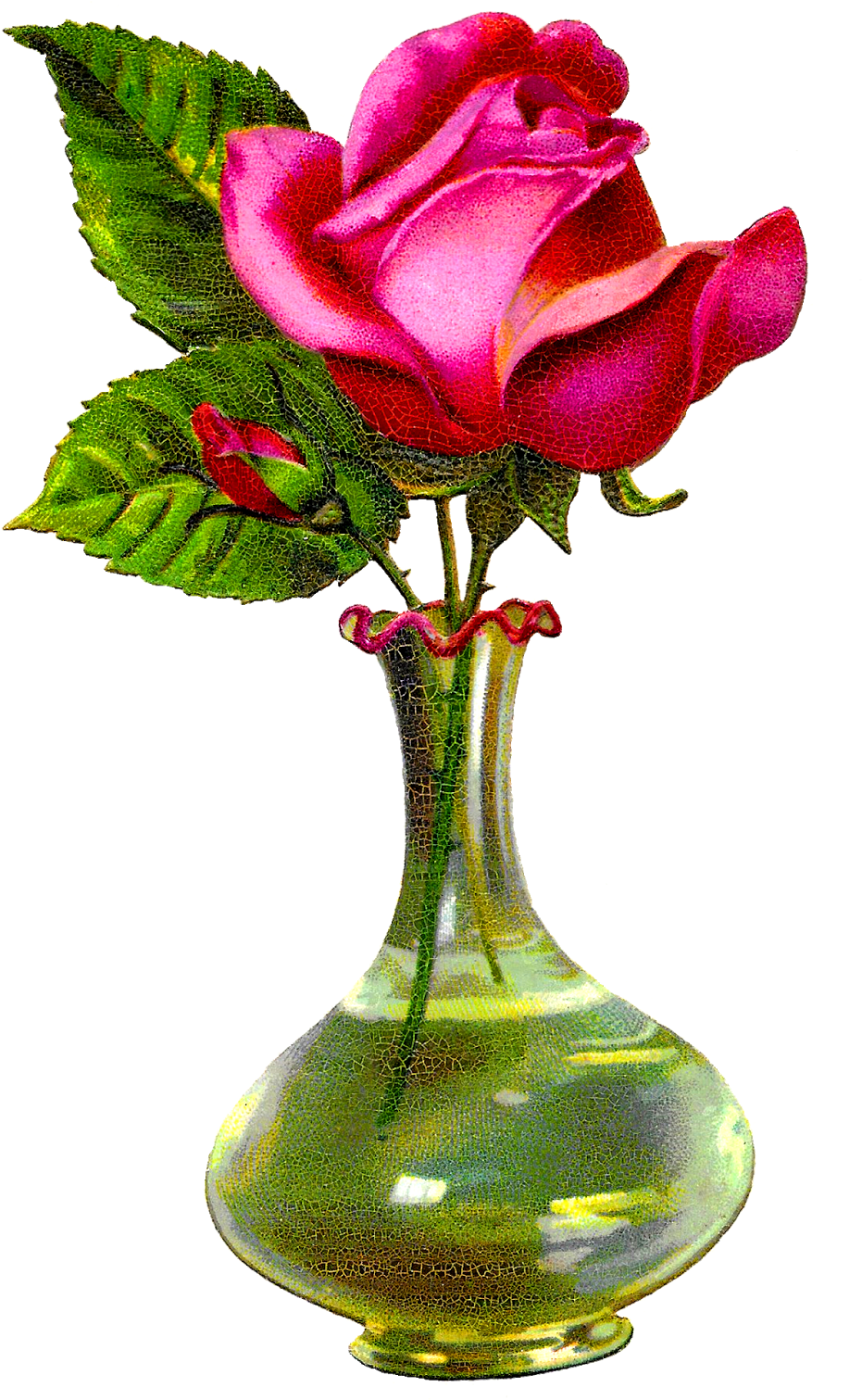 Digital Download Shabby Chic Pink Rose Floral Flower - Rose Flower With Vase Clipart (995x1600), Png Download