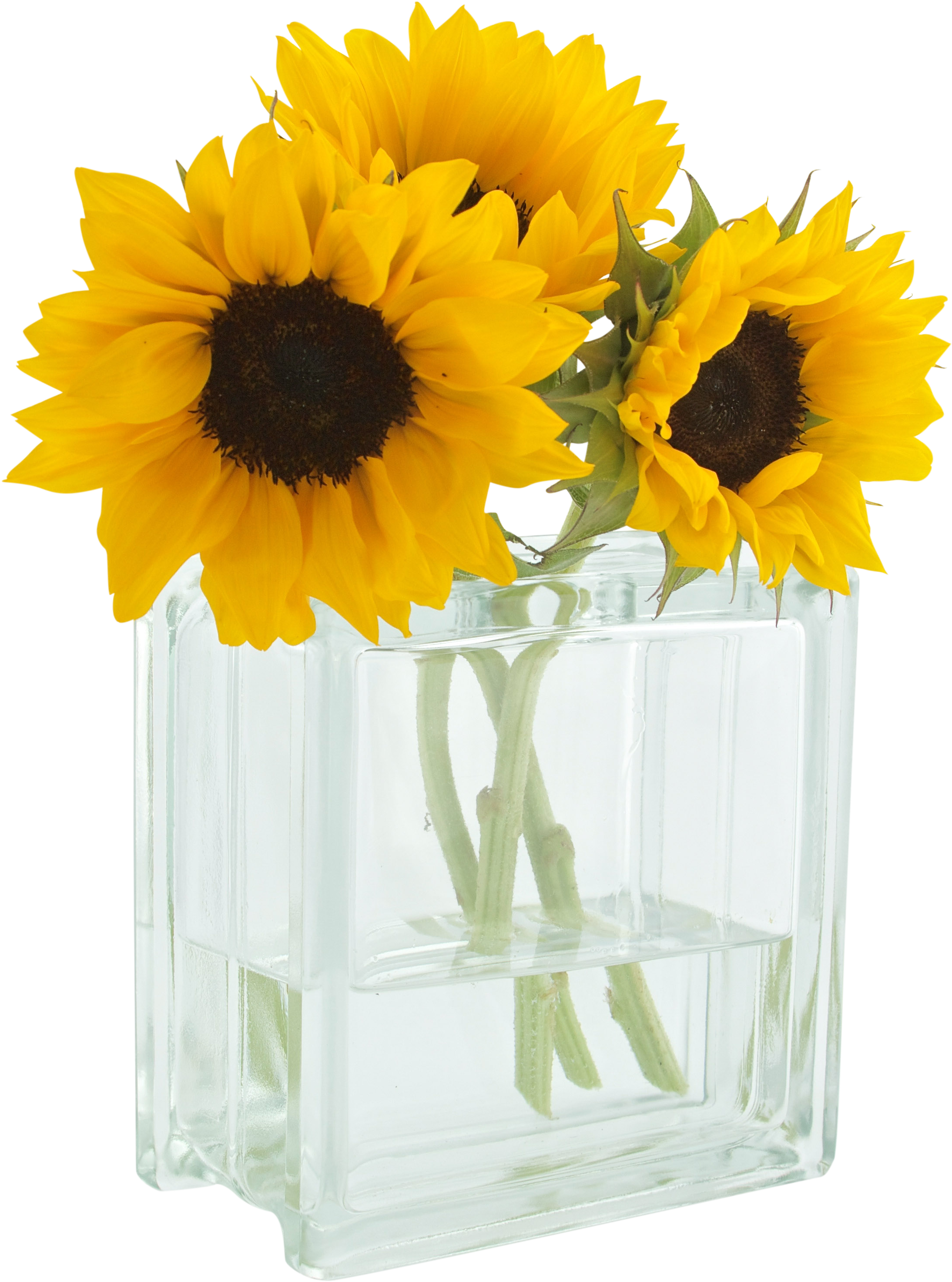 You Are My Sunshine Clipart (2188x2946), Png Download