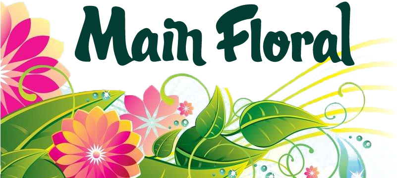 Anoka Flower Delivery - Rosa Glauca Clipart (800x392), Png Download