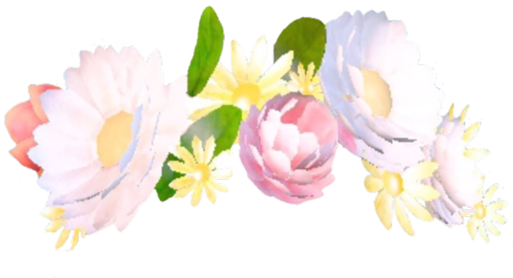 Snapchat 🌸 - Snapchat Filters Flower Crown Clipart (1024x580), Png Download