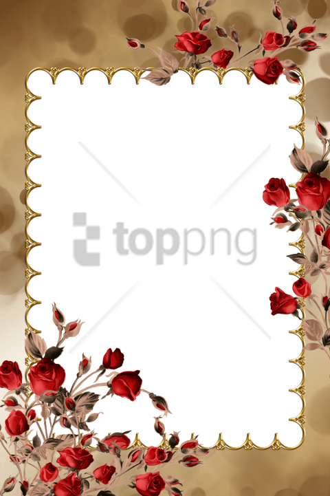 Free Png Transparent Fall Frames Png Image With Transparent - Psd Clipart (480x721), Png Download