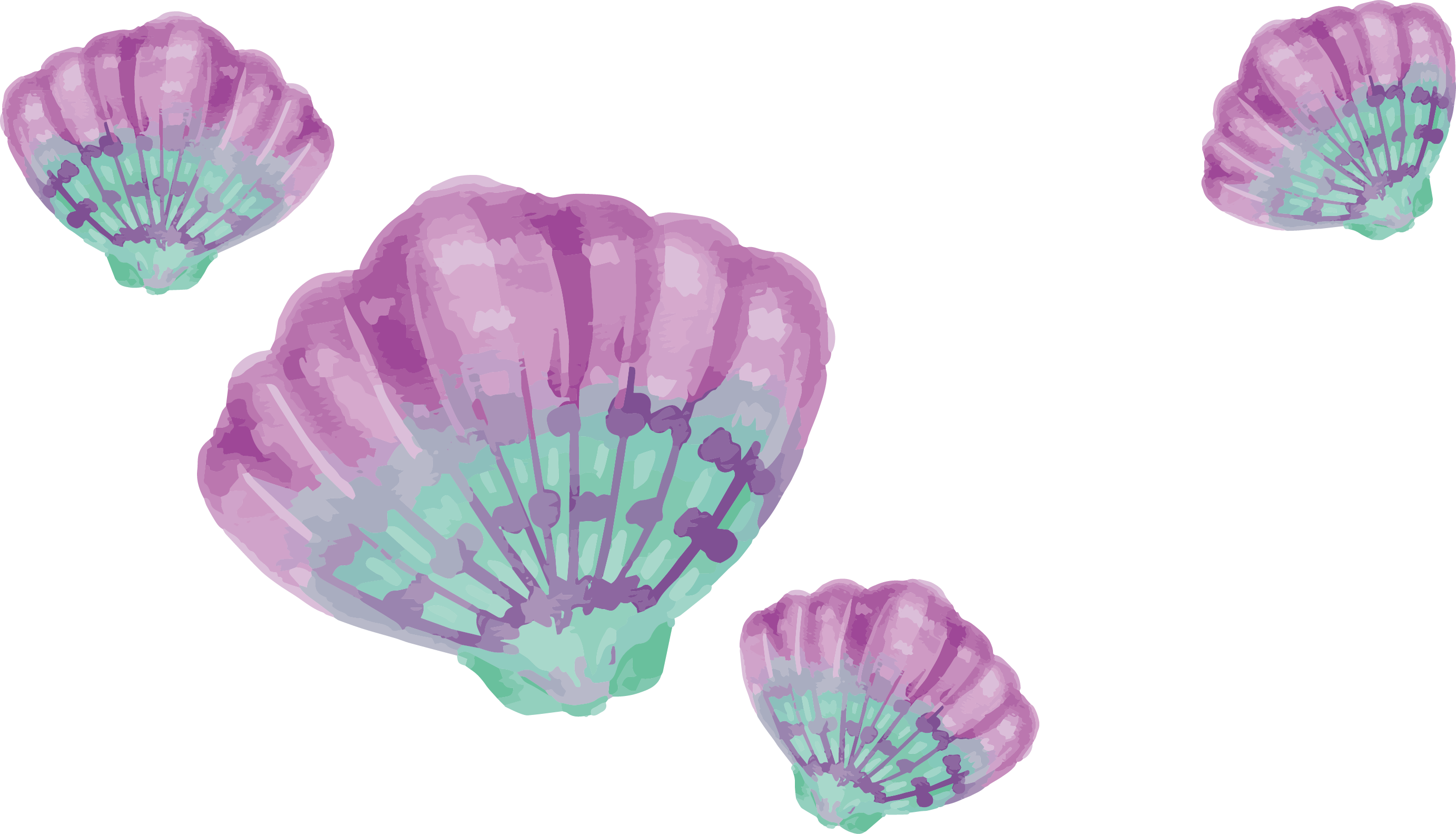 Painting Drawing Download Purple - Purple And Turquoise Shells Clipart (2764x1583), Png Download