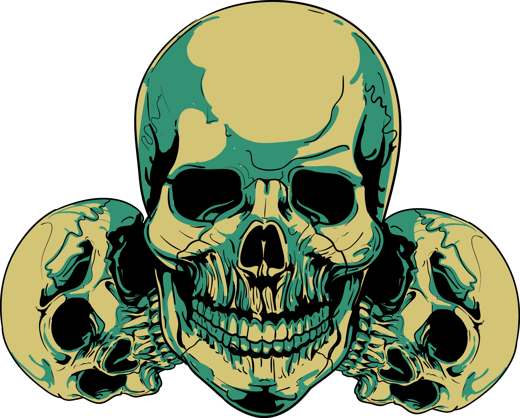 Skull. Изображение черепа. Череп на прозрачном фоне. Три черепа