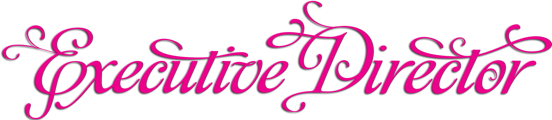 Executive Director Paparazzi Accessories , Png Download - Executive Director Paparazzi Accessories Clipart (1926x419), Png Download