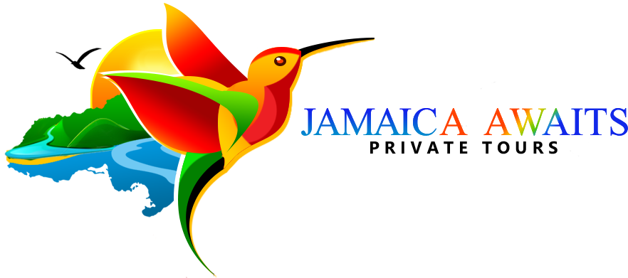 Jamaica Awaits Private Tours - Ruby-throated Hummingbird Clipart (882x391), Png Download