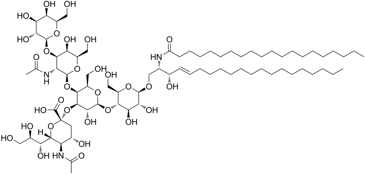 Gm1 Ganglioside Clipart (1200x574), Png Download