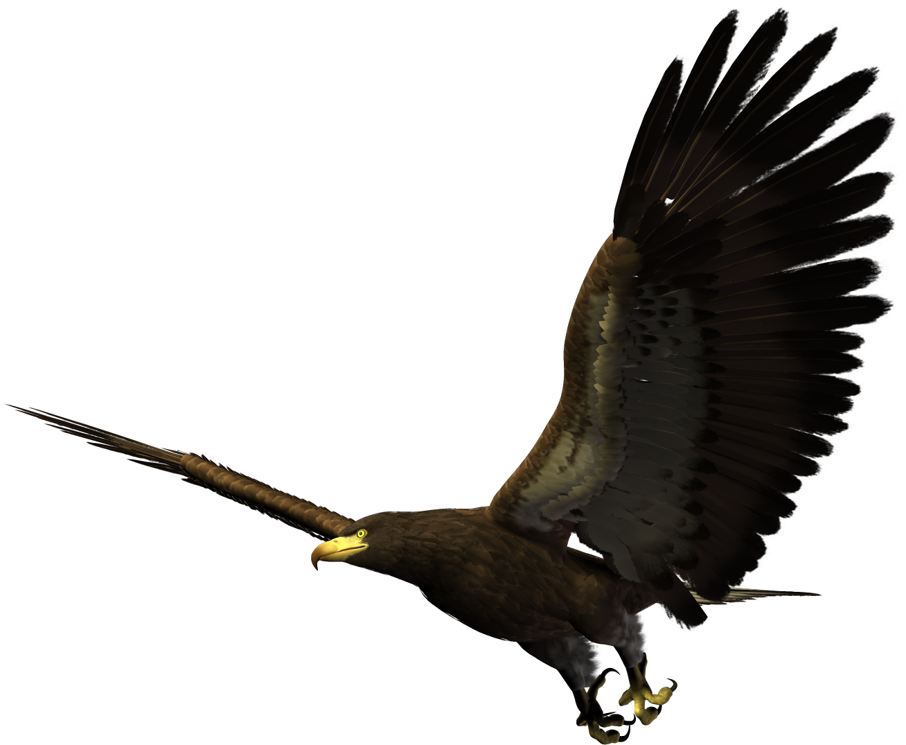 Bald Eagle Bird Flight - Eagle Flying Png Clipart (1481x1200), Png Download