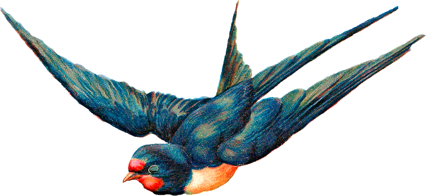 Free Digital Blue Bird In Flight Animal - Illustration Clipart (1600x818), Png Download