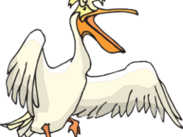 Flight Clipart Pelican - Pelikan Clipart - Png Download (640x480), Png Download