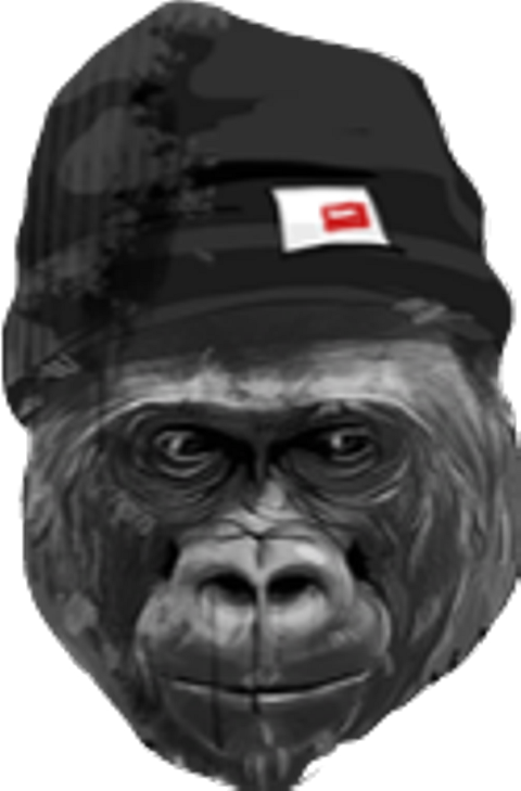 Gorilla Clipart (480x729), Png Download