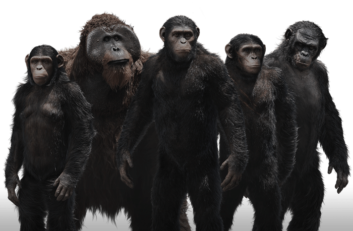 Ape Png - Planet Of The Apes Png Clipart (700x458), Png Download