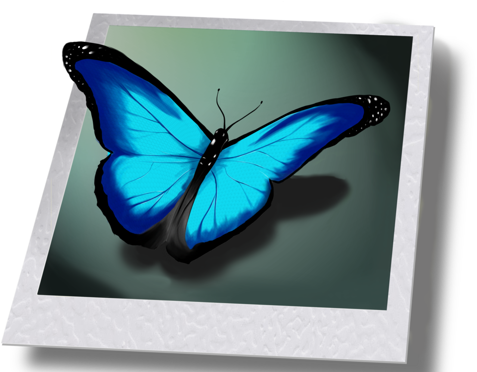 Life Is Strange Png - Butterfly From Life Is Strange Clipart (1024x749), Png Download