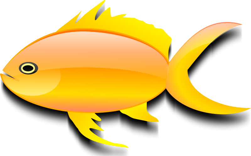 Goldfish Clipart - Gold Fish Clip Art - Png Download (800x496), Png Download