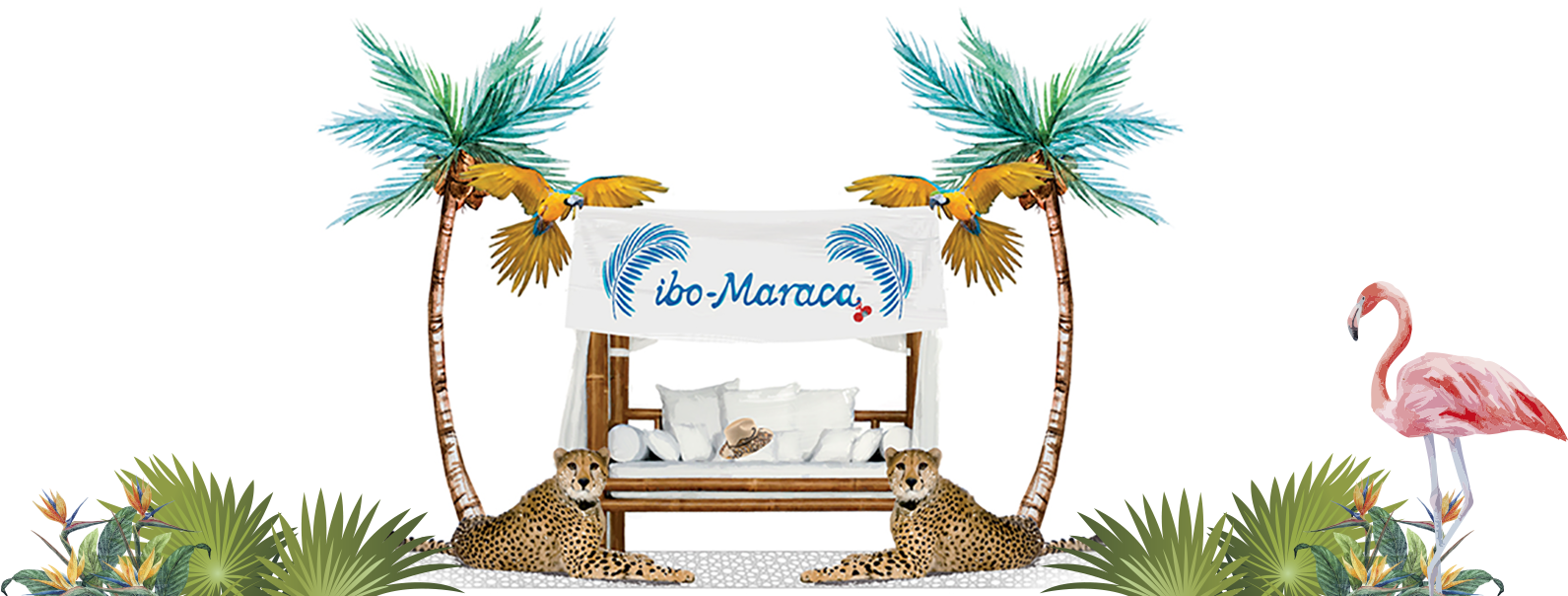 Shop - Attalea Speciosa Clipart (1920x603), Png Download