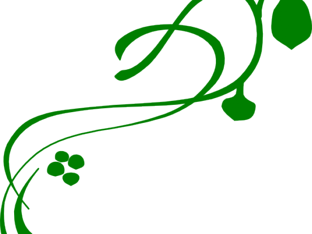 Lines Clipart Squiggle - Vines Clip Art - Png Download (640x480), Png Download