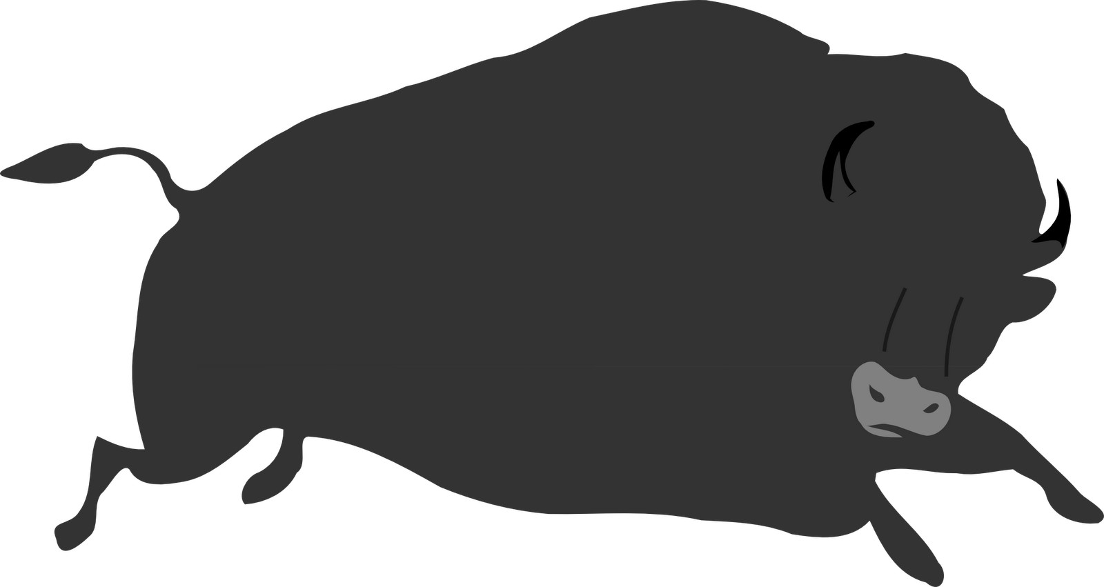 Buffalo Vector Animated - Cartoon Bison Clipart (1600x851), Png Download