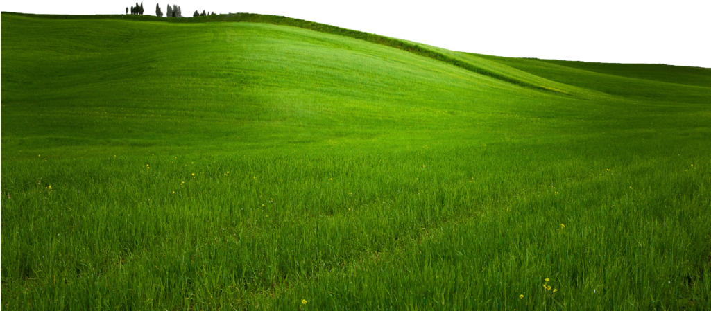 Hill Png Transparent Images Pluspng Green Grass - Grass Clipart (1024x640), Png Download