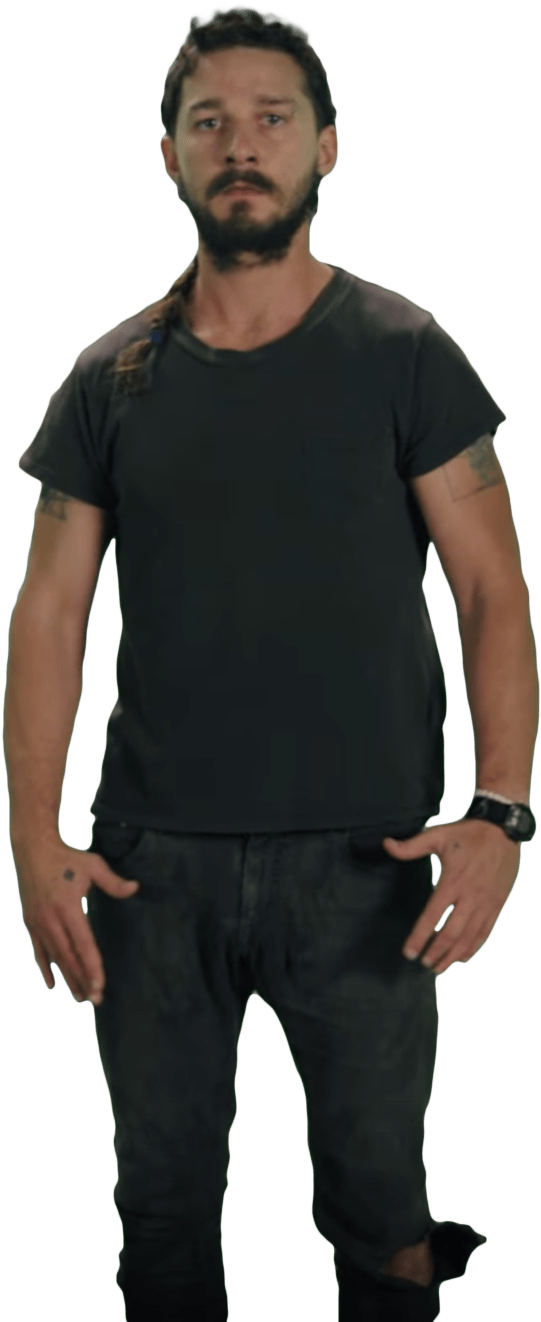 Shia Labeouf Pose - Shia Labeouf Transparent Background Clipart (541x1322), Png Download