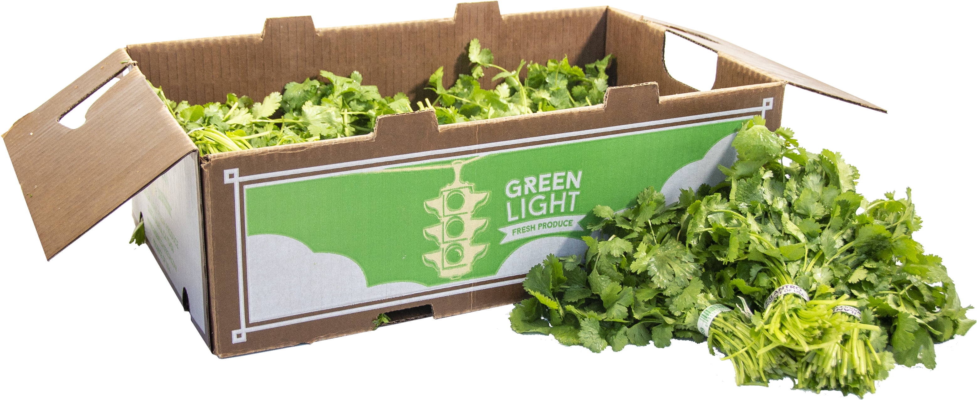 Go For Fresh Cilantro - Spring Greens Clipart (3268x1462), Png Download