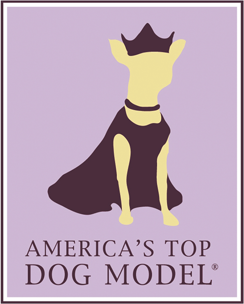 America's Top Dog Model ® Organization Has A National - Great Dane Clipart (833x694), Png Download