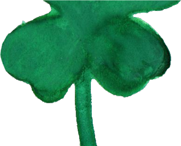 Shamrock Png Transparent Images - Maidenhair Tree Clipart (640x480), Png Download