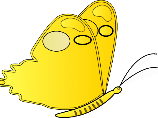 Yellow Butterfly Clipart Png Transparent Png (640x480), Png Download