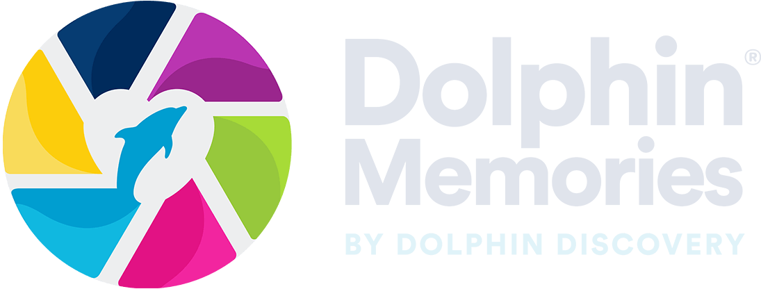 Dolphin Memories App Clipart (1095x416), Png Download