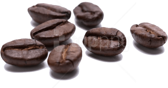 Free Png Download Coffee Beans Transparent Free Png - Coffee Beans Clipart (850x570), Png Download