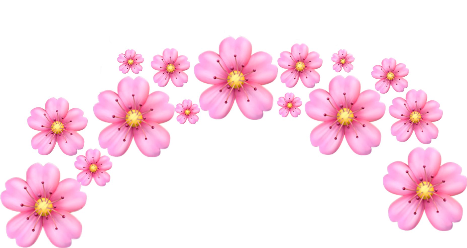 Tumblr Flower Pink Png Tumblr Transparent Pink Petals Clipart (1855x988), Png Download