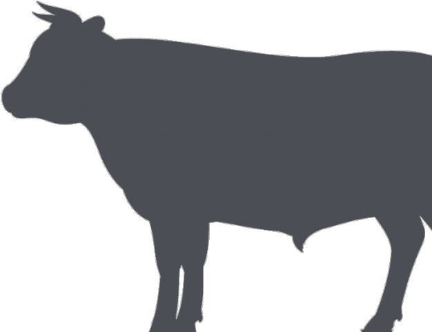 Cow Clipart Pig - Dairy Cow - Png Download (640x480), Png Download