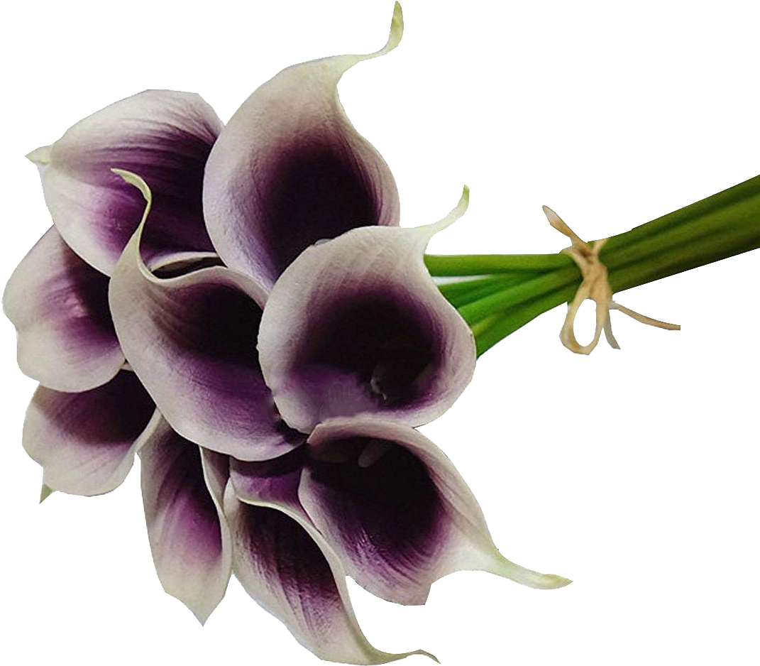 Lily Flower Png Clipart (1100x1100), Png Download