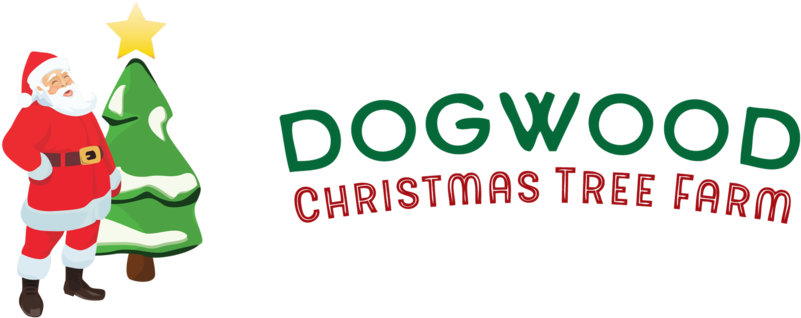 Snowy Tree Png Clipart (1000x374), Png Download