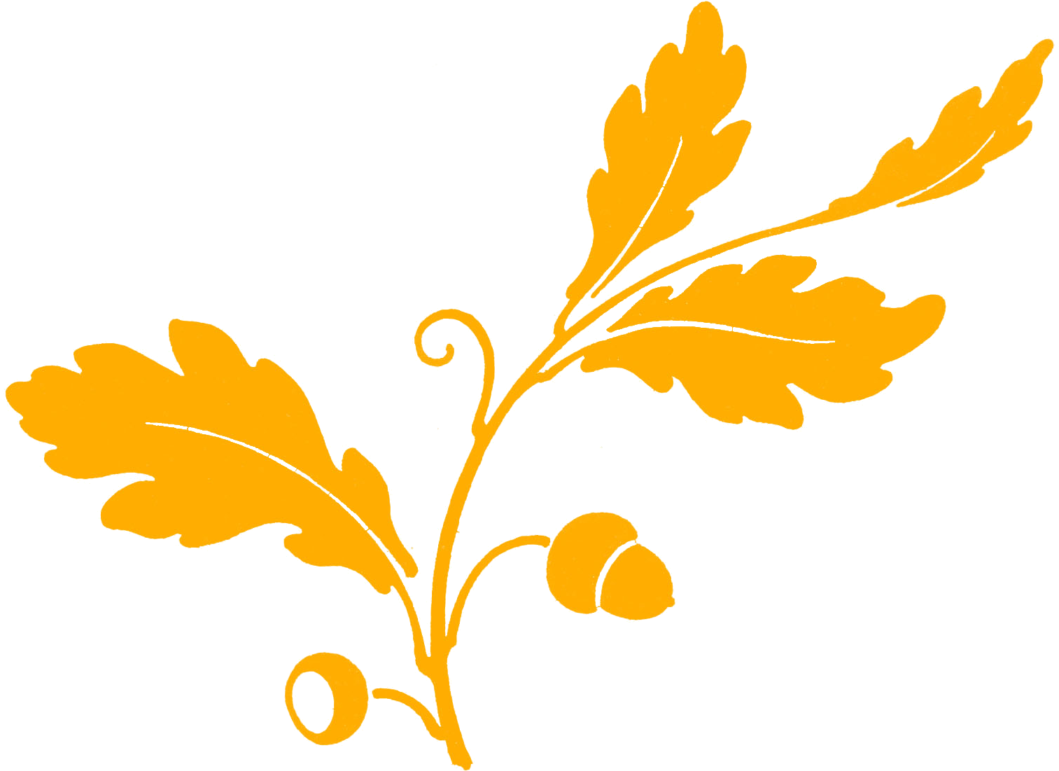 Leaves Oak Tree Silhouette, Silhouette Cameo, Oak Leaves, - Leaves Graphic Clipart (1541x1137), Png Download
