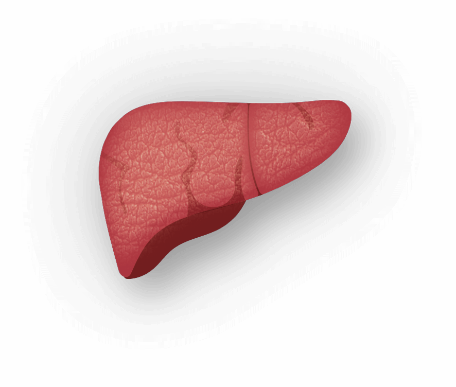 Baby Carrot Clipart (886x752), Png Download