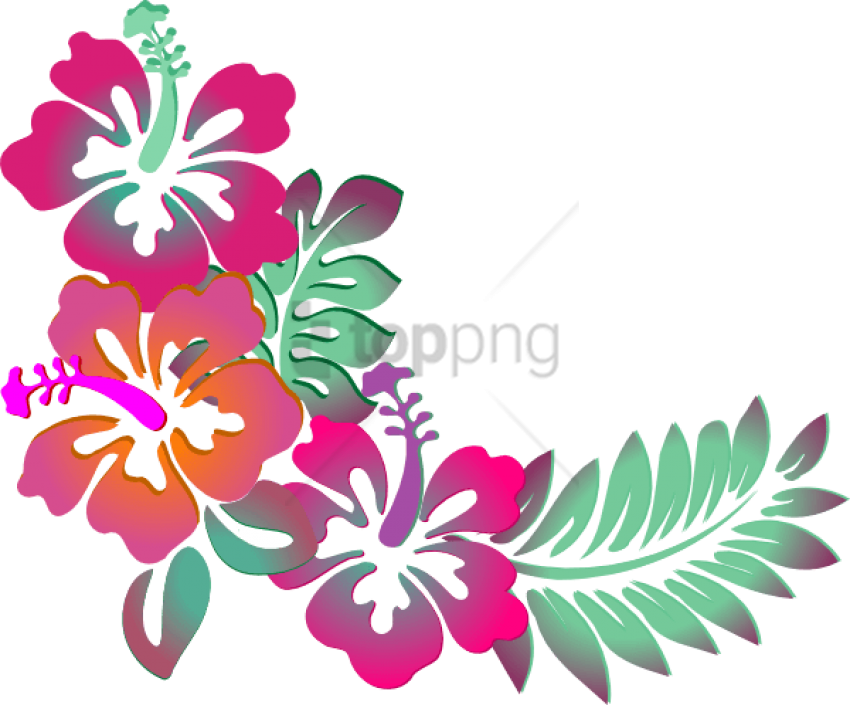 Free Png Colorful Floral Corner Borders Png Png Image - Clipart Hibiscus Transparent Png (850x705), Png Download