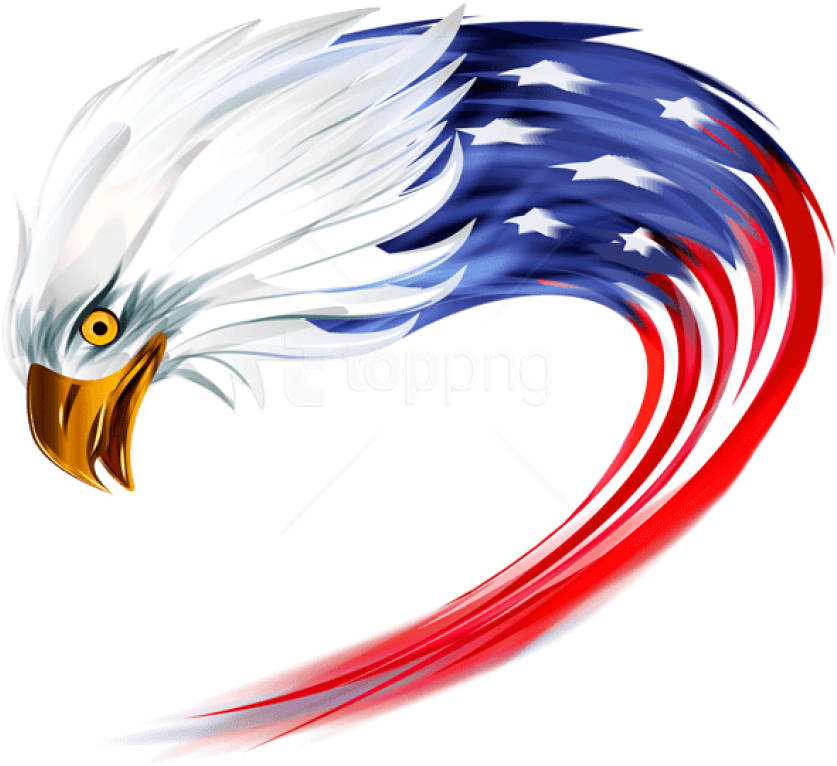 Free Png Download American Eagle Transparent Clipart - American Eagle Transparent Background (850x774), Png Download