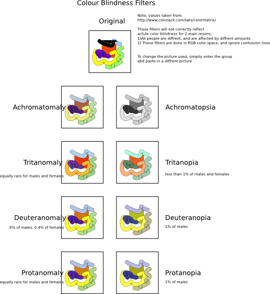 Stamps Png - Color Blindness Clipart (552x600), Png Download