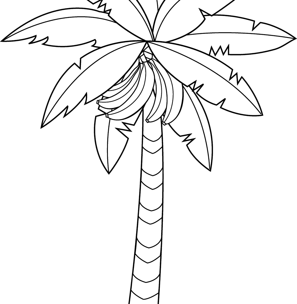 Banana Tree Drawing Outstanding Vector Hand Of In Large - Banana Tree Drawing Easy Clipart (1024x1050), Png Download