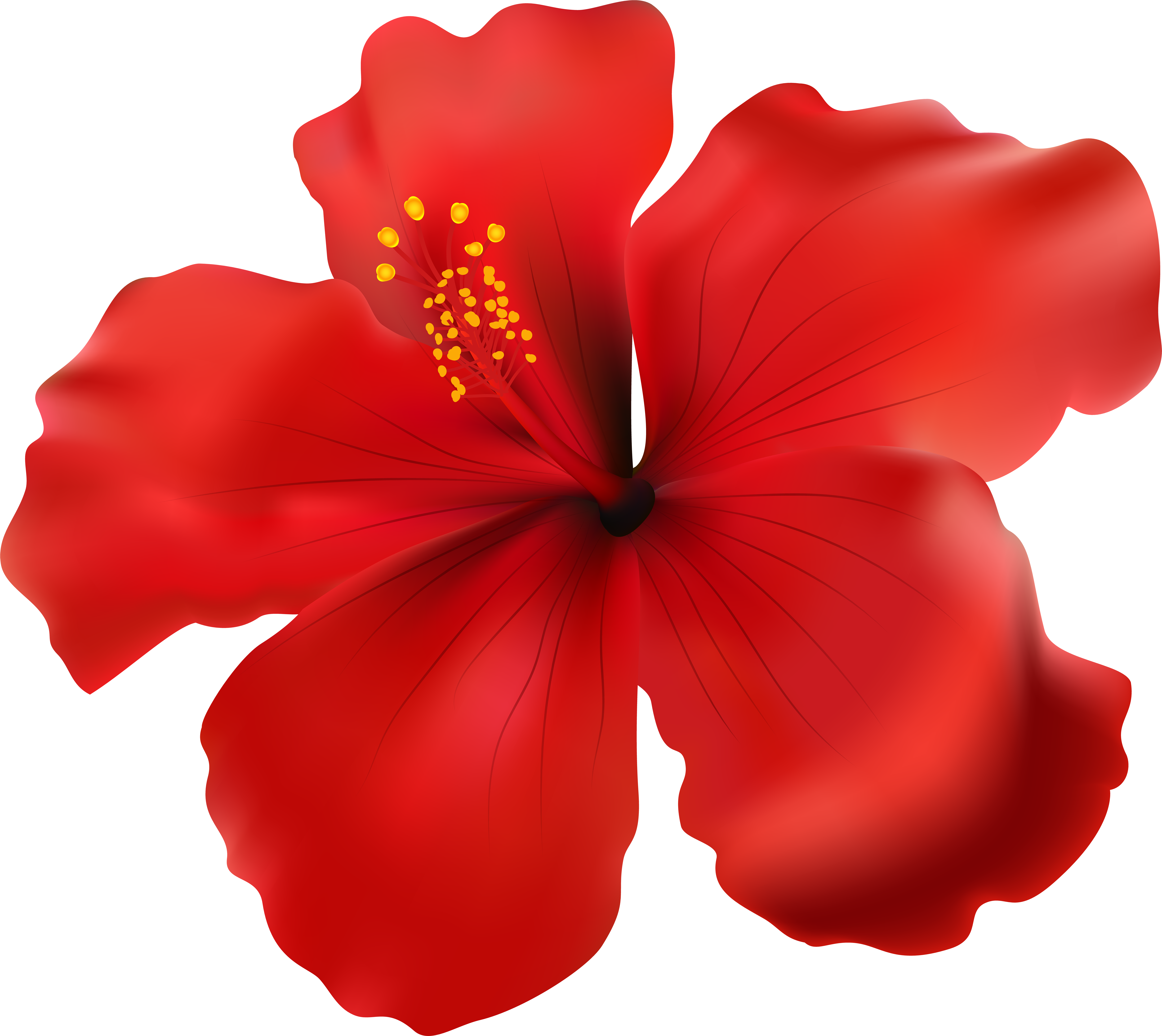 Hibiscus Red Transparent Png Clip Art Image (8000x7133), Png Download