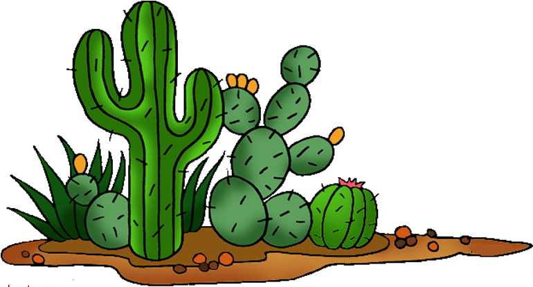 Cactaceae Saguaro Clip Art Transprent - Cactus And Flowers Clipart - Png Download (800x456), Png Download